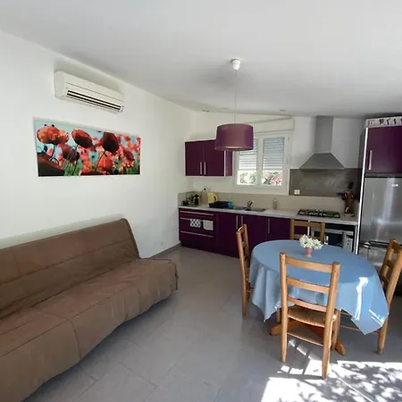 Mazet Provencal Holiday home *